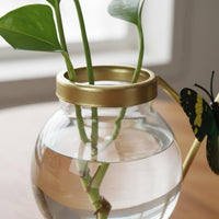 Water-Based Glass Vase Minimalist Design Wrought Iron Glass Planter Visible Underground Part Growth Tabletop Water-Based Vase for Beginners