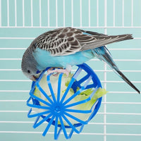 Hanging Bird Feeder Slotted Basket Fruit Holder for Birds, Foraging Toy and Cage Hanging Accessory for Cockatiel Parrot
