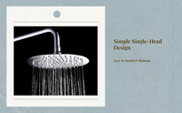 Stainless steel shower head
