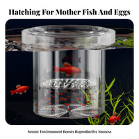 Aquatic Breeder Box Good Water Circulation Aquatic Breeding Box Guppy Breeding Enclosure Anti-Tip Design Easy to Clean