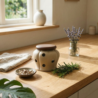 Ventilated Garlic Jar Matte Ceramic Garlic Jar Faceted