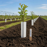 6 Pieces Corrugated Tree Guard Tube Squirrel Chew Resistant for Landscape