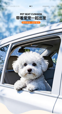 Car Pet Mat for Front Passenger Seat, Thickened, Waterproof, Anti-Dirt, Oxford Cloth, Gray
