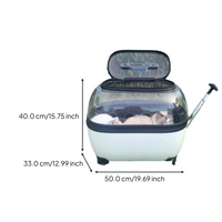 Expandable foldable pet carrier