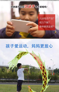 舞龙彩带健身新款儿童手甩龙飘带广场舞甩甩龙中国龙龙头表演道具
