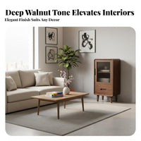 TV Stand and Coffee Table Set New Chinese Design Solid Wood Media Console Recessed Handles Walnut Color Living Room Set for Homeowners, Bedroom