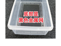 滤屎防臭面包虫饲养盒饲养箱透气透明养殖箱 粪便过滤养殖盒子