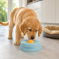 Dog Lick Bowl Interactive Pet Feeding Calming