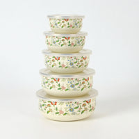 5 Pieces Enamel Bowls with Lids Lidded Enamel Bowl with Lid Sturdy for Meal Prep