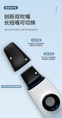 新品KAZOO智能电声卡祖笛 贸易批发专供全新大音腔易吹易学笛子