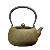 Cast Iron Teapot Traditional Kettle Loose Leaf Vessel for Tea Lovers, Collectors