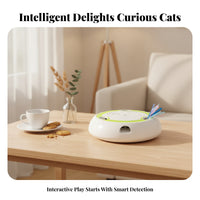 Sturdy Low-Silhouette Interactive Cat Toy Pet Plaything