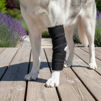 4 Pieces Dog Leg Support Sleeve Pain Relief Hind Leg Support Brace