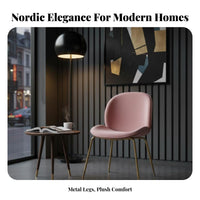 Beetledesign Chair Nordic Design Home Seating Shell-Shaped Seat for Hotel, Women