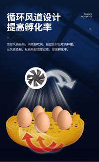 Small Smart Egg Incubator for Quail, Chicken, Bird, Duck, and Parrot