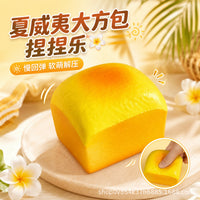 Hawaii Bag Slow Rebound Squishy Toy