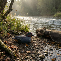 Floating Duck Decoy Painted Details Bird Lure Lifelike for Landscape