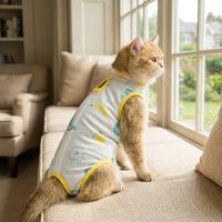 Pet Recovery Suit with Snap Buttons, Two-Legged Korean Style Surgery Suit and Spay Shirt