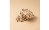 Rounded Crown Miniature Hat Short Curved Brim Hat Model