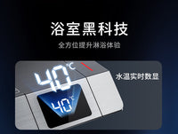 荣事达淋浴花洒套装家用沐浴增压花洒卫生间洗澡淋浴器花洒套装 【枪灰恒温升级款】航空铝体/钢琴键控/星空顶喷/四模式出水