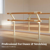 Double Layer Dance Barre Steel Core Double Dance Barre Heavy Duty Leg Stretching Stand for Dancers, Adults, School, Gym, Home