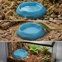 Tortoise Water Bowl and Naturalistic Reptile Dish, 2 Piece Shallow Reptile Bowl Set Accessories for Leopard Geckos, Frogs and Hermit Crabs