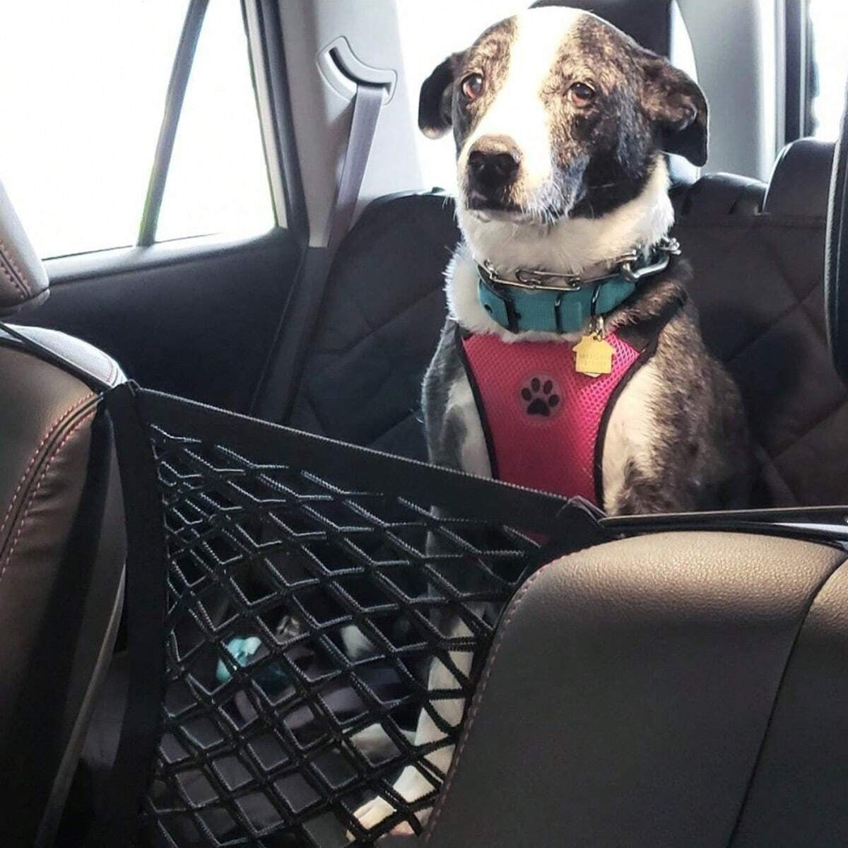 Pet Barrier Net for Dogs Car Protection Net