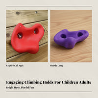 Indoor Climbing Holds for Kids and Adults, Interactive Training Rock Grips, Outdoor Rack