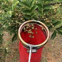 摘花椒神器摘枣枇杷桑葚农用工具 专用省力花椒剪花椒采摘剪