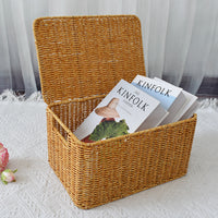 Plastic Rattan-Style Storage Box for Organizing Clothes and Accessories