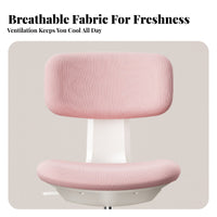 Ergonomic Task Chair Thick Padded Seat mid-rangespinal Mesh Task Chair for Study Room