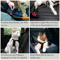 Nylon Dog Leash for Car Travel with Multiple Colors