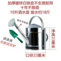 Thickened Iron Sheet Watering Can with Sprayer