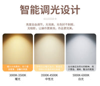 Foldable LED Half-Moon Desk Lamp for Beauty Salons with Australian Plug