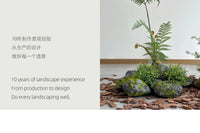 Artificial Moss Stone PU Decorative Rock for Office Greenery
