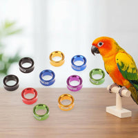 10 Pieces Parrot Foot Band Mixed Colors Numbered Bird Identification Band