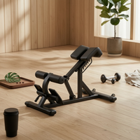 Roman Chair Roller Pads Hyperextension Bench Steel Frame Fitness Equipment for Home Gym