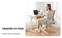 Ergonomic rotating Chair Rolling Casters Mesh posterior Task Chair Easy Assembly