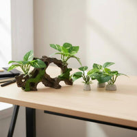 4 Pieces Driftwood Decor Multi-Use Aquarium Plant Set Aquarium Driftwood