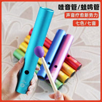 Rainbow Frog Guiro Percussion Instrument