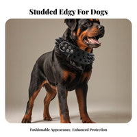 Studded Dog Heavy Duty Large Breed Dog Rustproof Hardware Pet Supplies for Hunters, Daily Wear, Outdoor Walks, Training