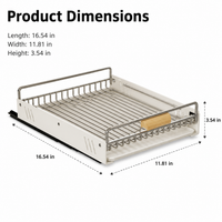 Stainless Steel Pull-Out Dish Drying Rack, Under-Mount Dish Rack for Bowls and Dishes, Milk White Dish Drainer 42x30x9cm