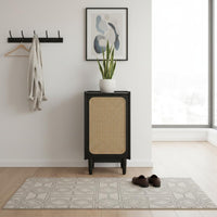 Cane Door Storage Cabinet Solid Wood Rattan Footwear Storage Unit Minimalist Style Household Furniture for Living Room