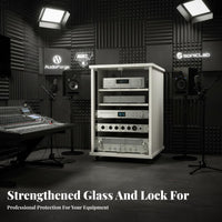 Professional Audio Rack Cabinet Organizer Heavy-duty Casters Lockable Wheels Perforated Panel Glass Door Suitable for Djs KTV Studio Home Theater