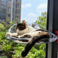 Cat Hammock Window Cat Perch with Transparent Dome, 3 Strong Suction Cup Bed for Indoor Pets, Sturdy Non-Foldable Elevated Sunbathing Seat