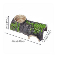 Hollow Log Hideout Realistic Lichen Cave Hide Safe Materials