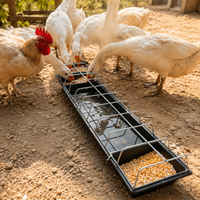 Feeding Trough, Livestock, Chicken Feeder, For Cattle, Feed Trough, Galvanized Metal, 75/90cm×20cm, Dry/Wet Feed Compatible