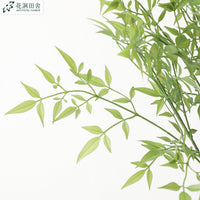 仿真植物软胶南天竹天葵竹 新中式家居装饰 工程造景橱窗展示绿植