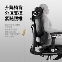 人体工学椅子护腰电脑椅家用舒适久坐电竞椅子男生可躺办公室座椅
