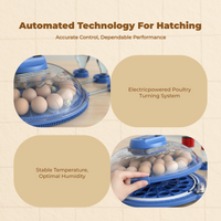 Egg incubator with auto turner